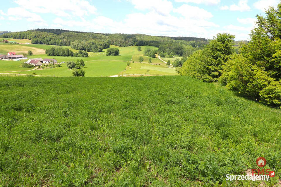 sprzedaży gruntu 4800m2 Olszanka