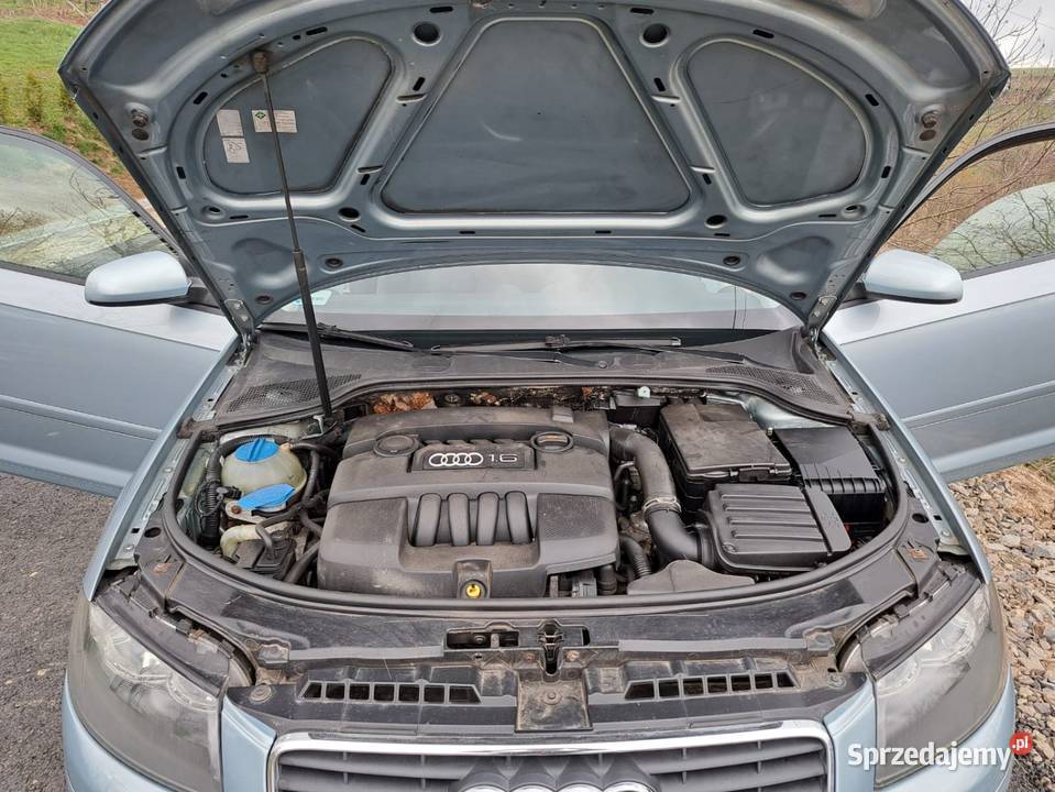 Audi A3 8P 16 MPI z LPG Rok produkcji 2003 Nowy Sącz