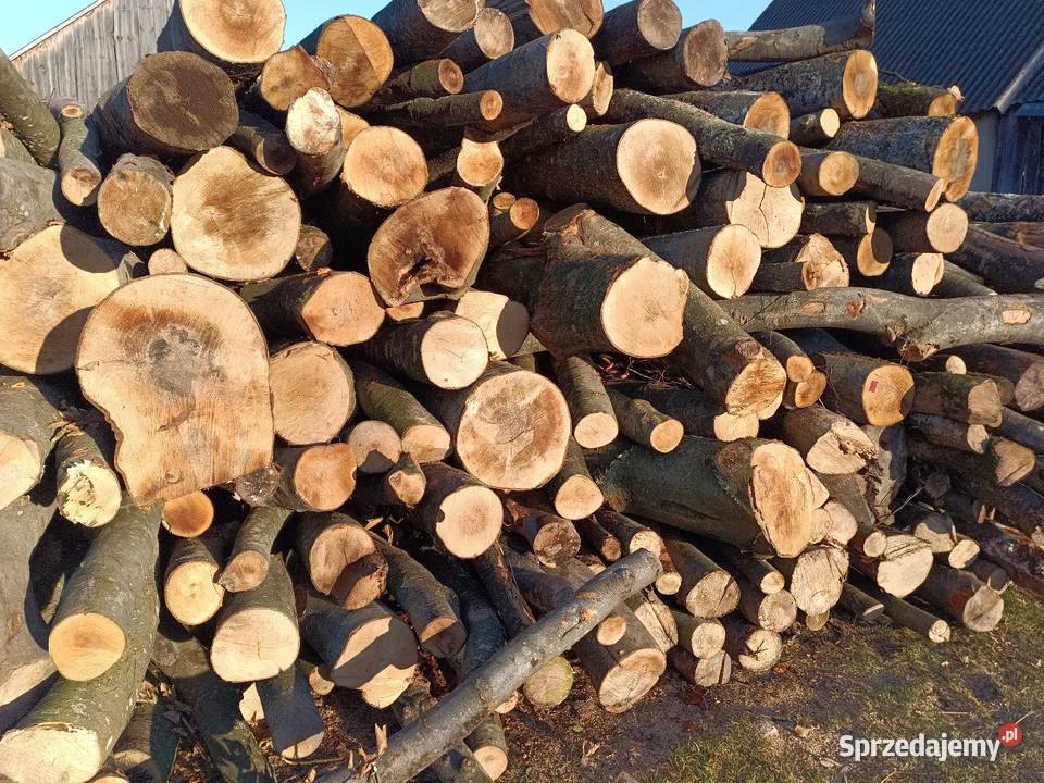 Cięcie łupanie sprzedaz drewna Usługi rebakiem Bielsk Podlaski sprzedam