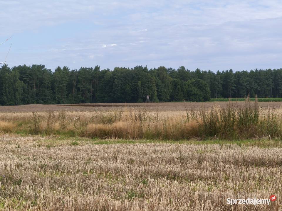 Ostatnie 3 działki budowlana pomorskie Kaczkowo