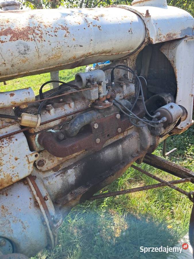 Traktor FORDSON F Gniewkowo sprzedam