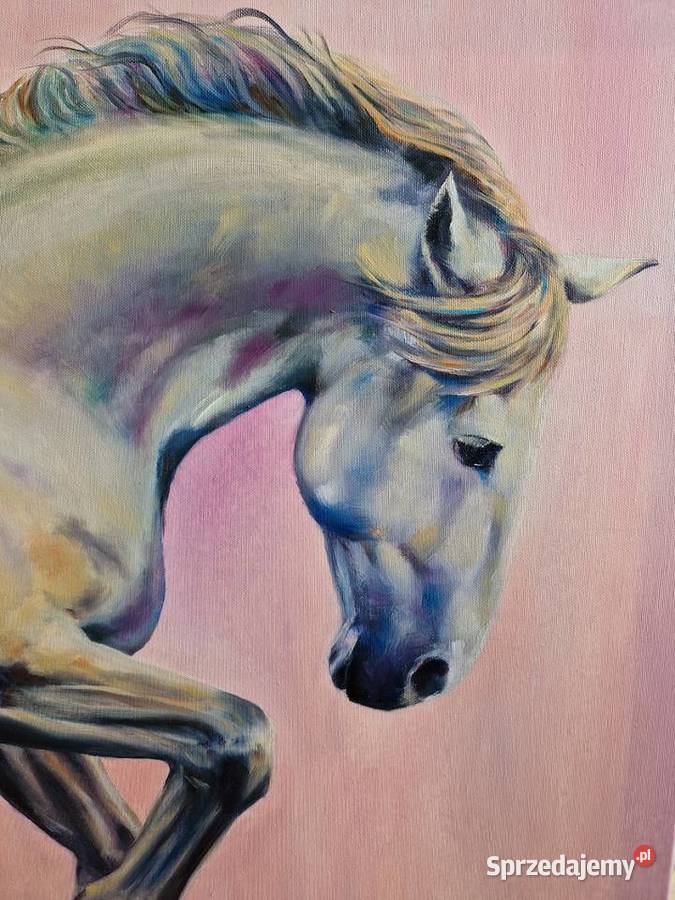 Obraz koń malarstwo olejne 60x60 Nowy Sącz