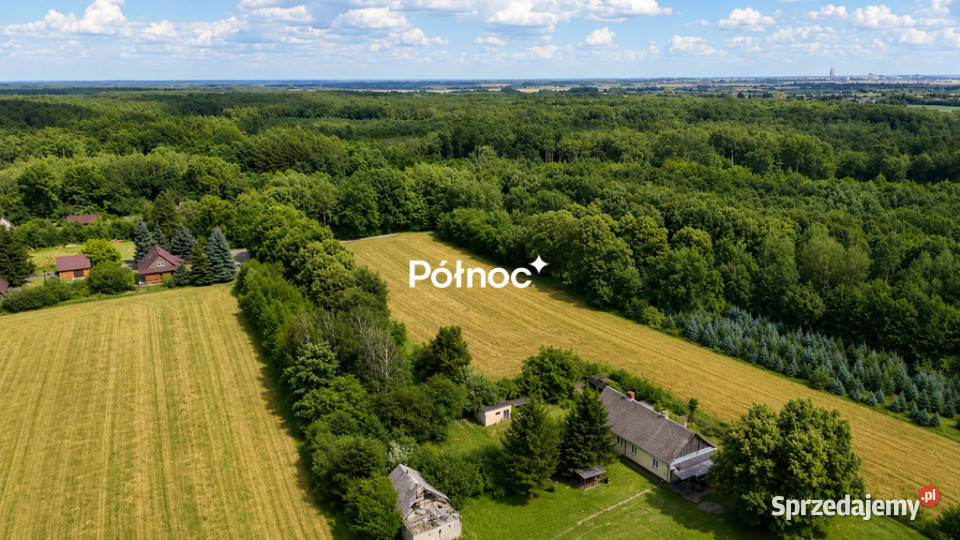 Siedlisko w Stańkowie wśród lasu5min Chełma Stańków