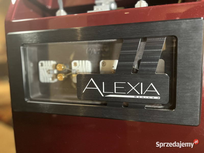 Wilson Audio Alexia Polskie Stwolno