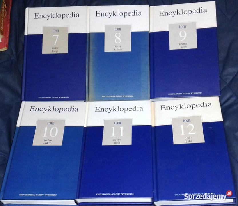 Encyklopedia Gazety Wyborczej 15 tomów Chełm sprzedam