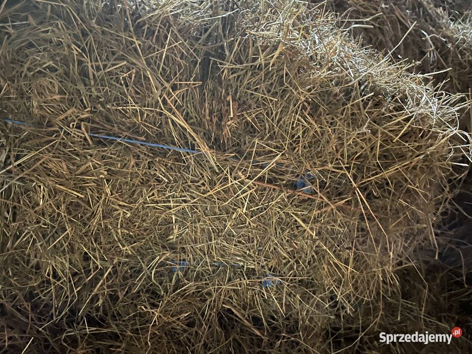 Siano w belach i kostkach z sezonu 2024 Pozostałe Janowice Poduszowskie