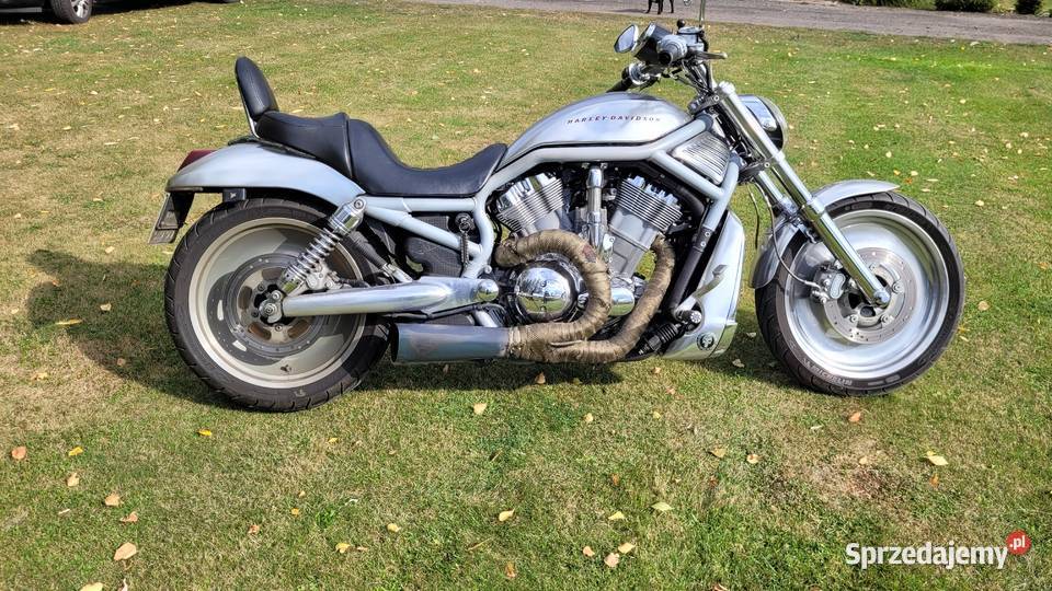 HarleyDavidson VROD 2002 Ślesin