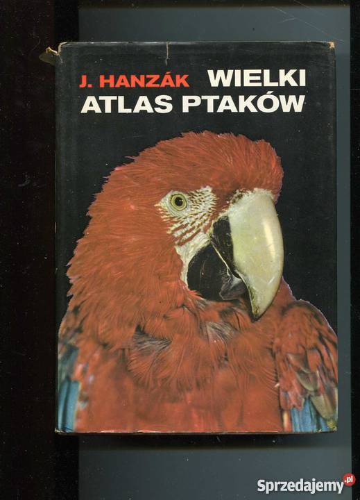 Wielki atlas ptaków Szczecin
