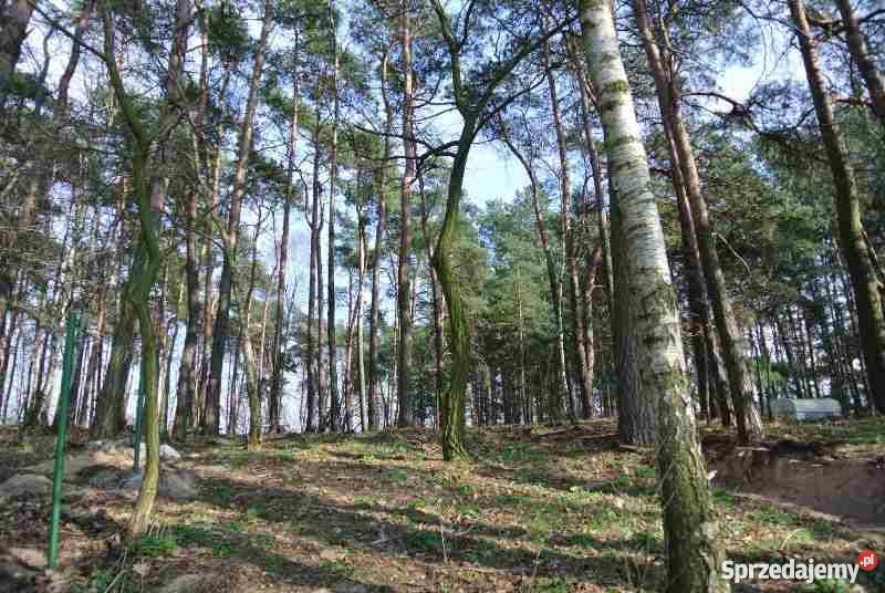 Sprzedam działkę rekreacyjną jeziorem w gminie rekreacyjna Ślesin