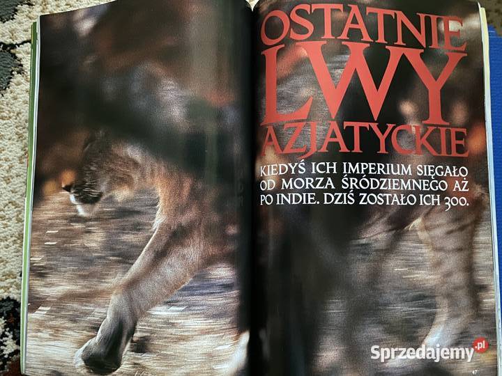 National GeographicPolskawyd czerwiec 2001 lubelskie Lublin