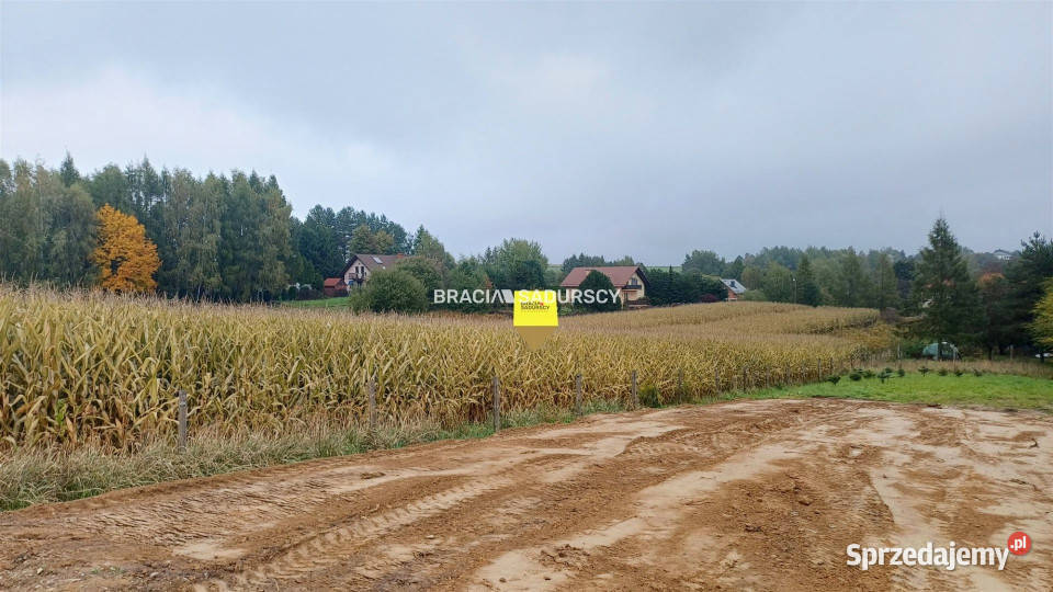 Grunt Nowa Góra 19600m2 kanalizacja sprzedam
