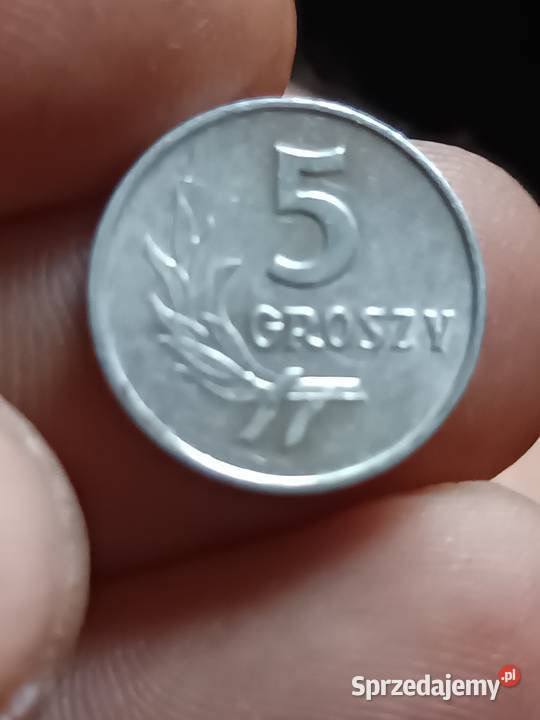 Sprzedam 5 gr 1962 r Chełm