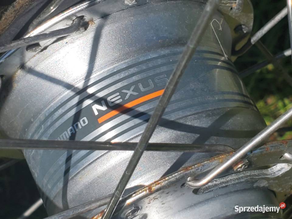 Prophete Alu City Nexus Miejskie