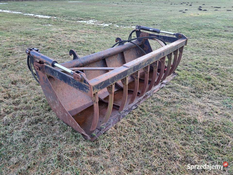 Łyżkokrokodyl Faucheux Lasek