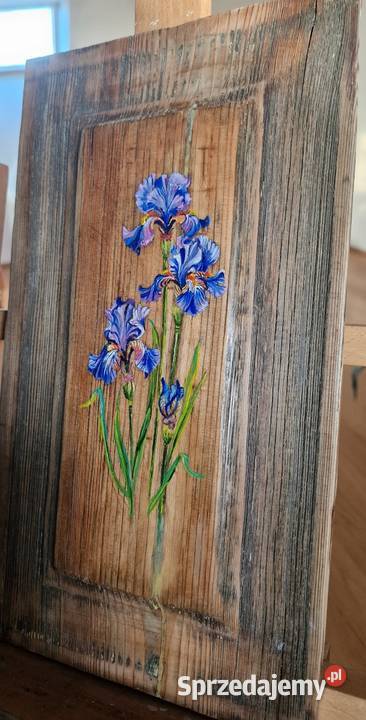 Obraz Irysyna zabytowej okiennice Warszawa