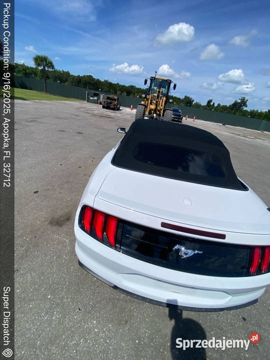 Ford Mustang 23 Ecoboost CABRIO 2020 w drodze do Żórawina