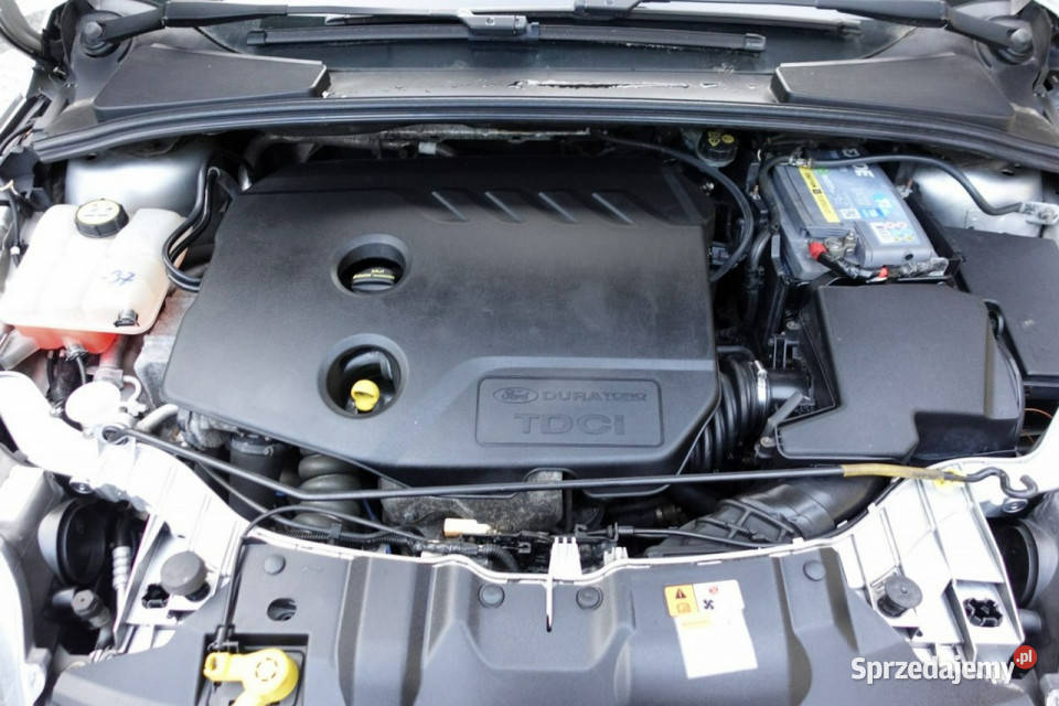 Ford Focus 6 Bieg Asystent Parkowania 115 mazowieckie Płońsk