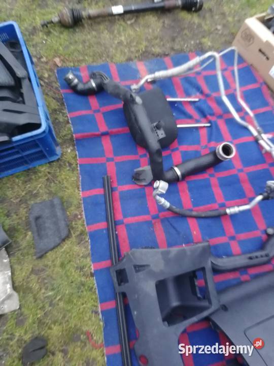 Części pozostalosci wielkopolskie Gniezno