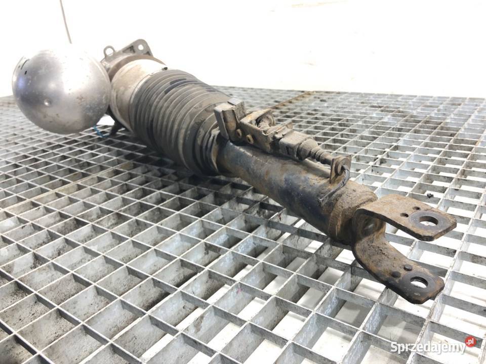 AMORTYZATOR TYŁ PRAWY VW PHAETON Hatchback