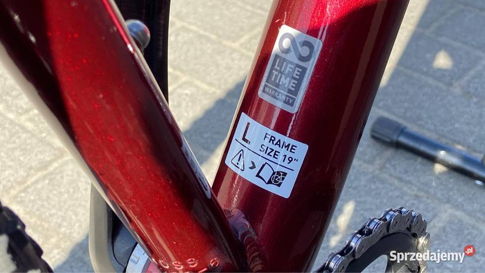Rower KROSS Level 6 rama L19 Koła 29 Górskie, MTB Jarocin