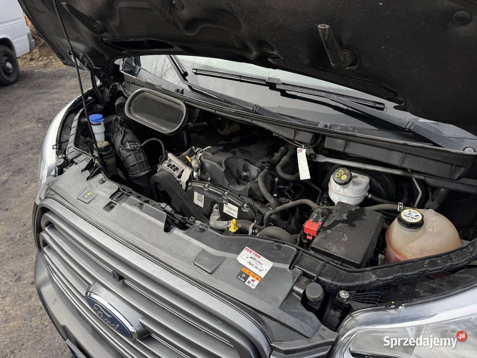 Ford Transit dolnośląskie Świeradów-Zdrój