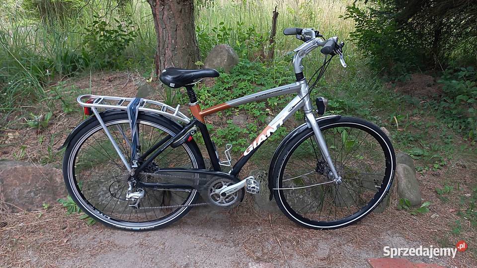 Rower Miejski Męski Giant Expedition RS1 3x9 dolnośląskie Wołów