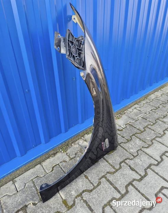 BŁOTNIK PRZÓD LEWY SEAT ALTEA SEAT TOLEDO III Błotniki Działoszyce