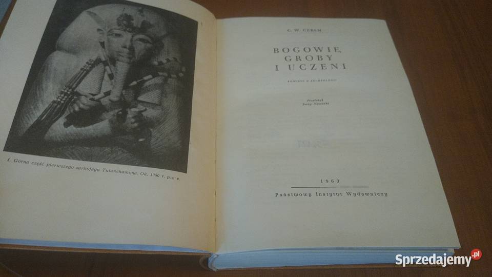 Bogowie groby i uczeni powieść o archeologii C W pomorskie