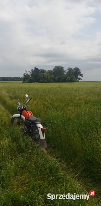 WSK 125 Zamość