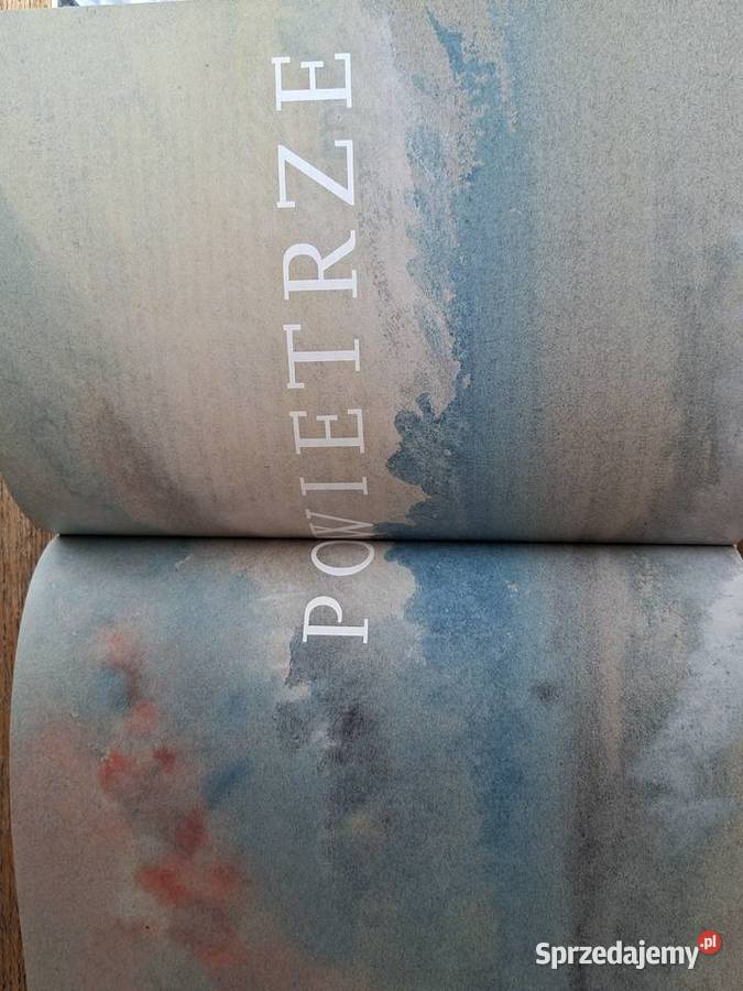 Turner malarz żywiołów