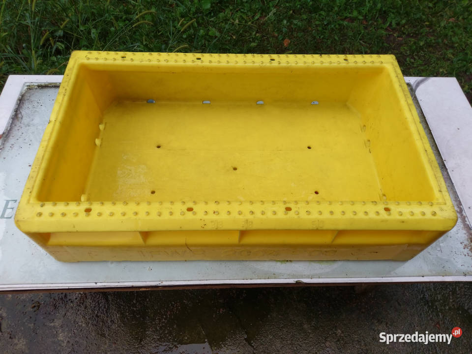 Skrzynki baseny na ryby lód Legionowo