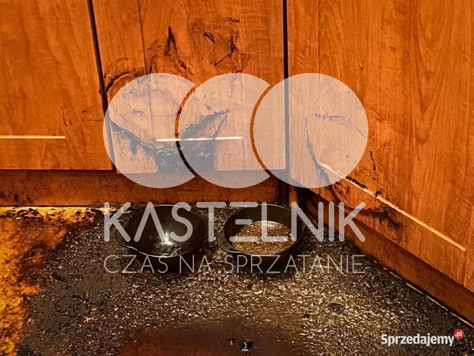 Sprzątanie zgonach Czeladź Kastelnik Dezynfekcja Osuszanie i odgrzybianie śląskie