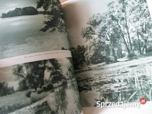 Z biegiem Dunajca góry Tatry Dunajec Łódź