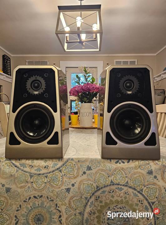 Wilson Audio Tunetots z ISOBases Rozważane Bydgoszcz