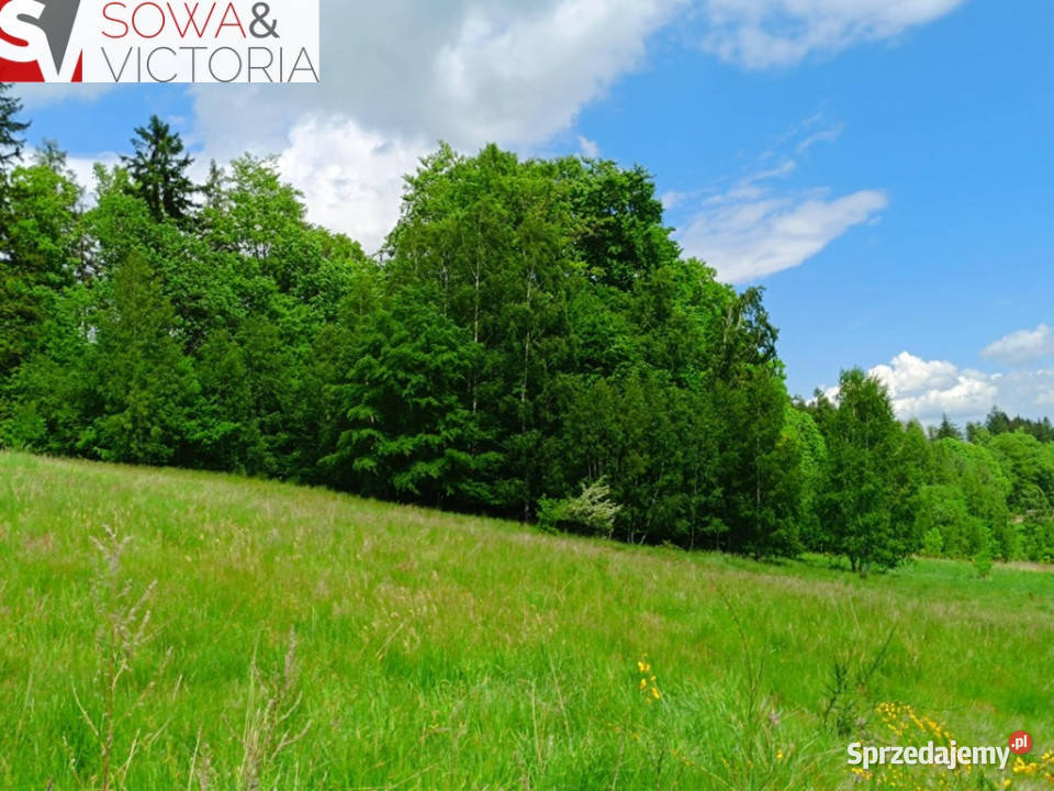 Działka budowlana 3 Wałbrzycha Promocja budowlana Sprzedaż dolnośląskie Jedlina-Zdrój