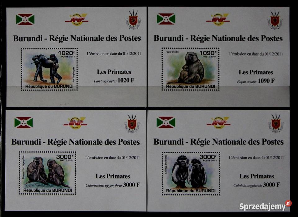 Burundi wielkopolskie Oborniki