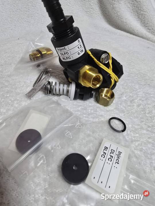 Zespół zaworu wtryskowego Fleck 46005600 Zawory Wrocław