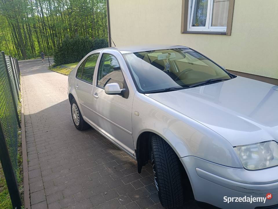 Bora w stanie lubelskie Palikije Pierwsze