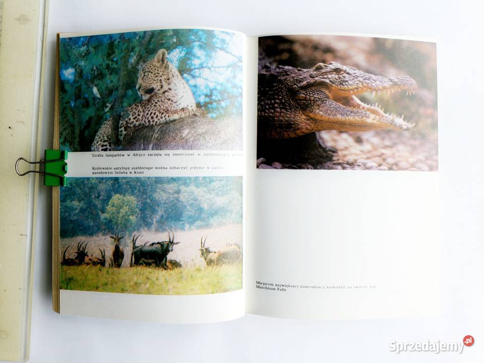 Opowieści z sawanny i buszu Ada Wińcza Gdynia