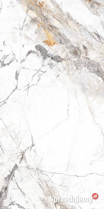 BIAŁY MARMUR złota żyłka 120x60 WYSOKI POŁYSK Łask