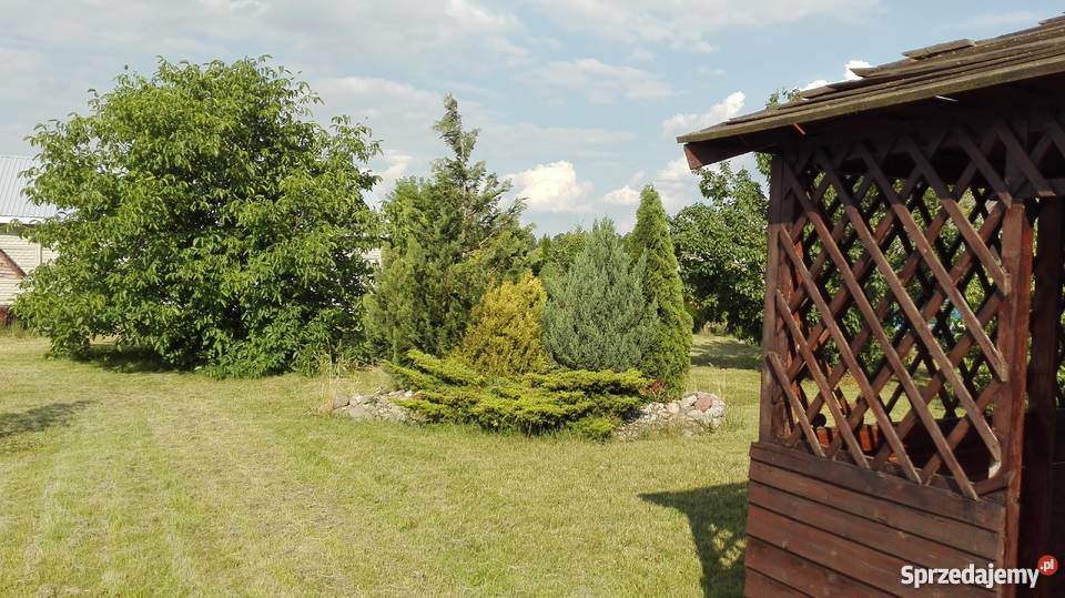 Dom z dużą działką mazowieckie Wieczfnia Kościelna sprzedam