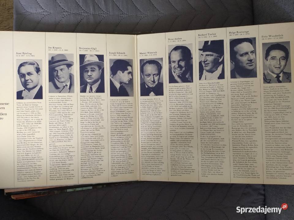 Płyty winylowe płyta winylowa Żory