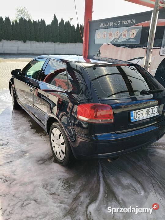 Audi A3 8p 19 TDI 105 BKC dolnośląskie Pichorowice
