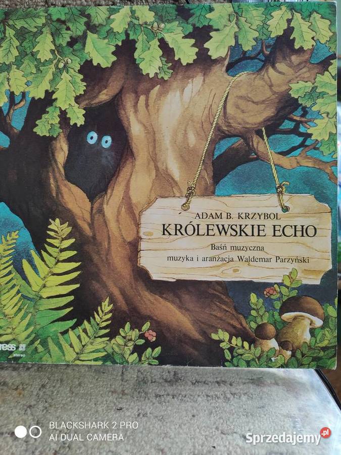 Królewskie echo baśń na taśmie Dla Dziecka Stargard