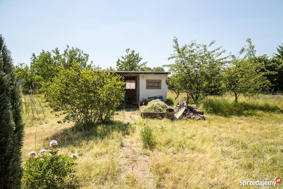 Sprzedam działkę rekreacyjną w Kamieńcu Grunty i działki