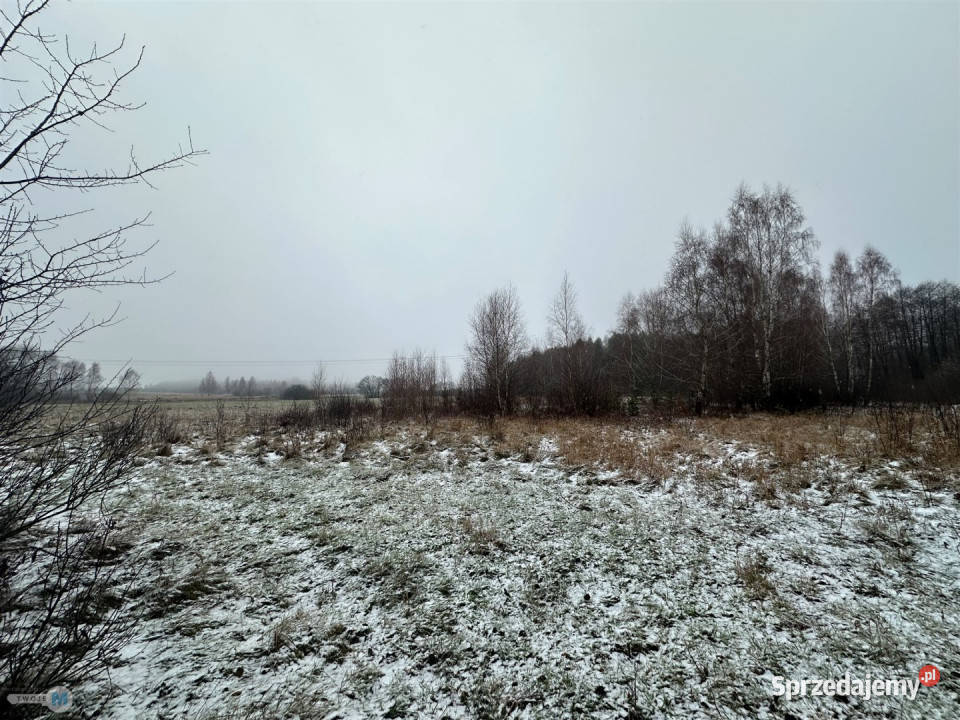 sprzedaży działki 43100m2 Śladków Duży