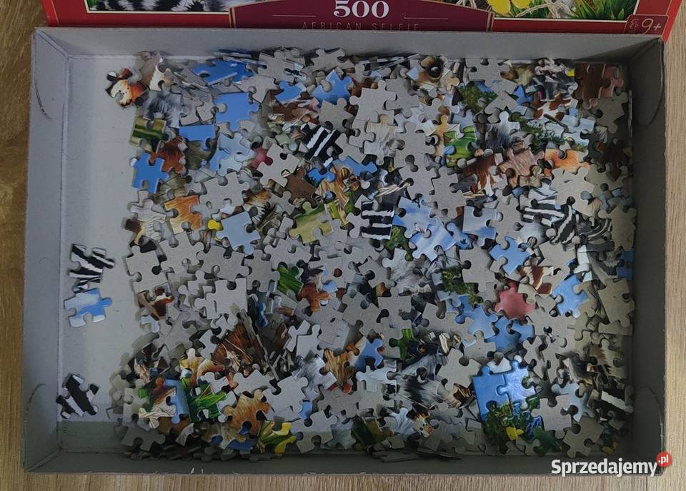 Puzzle Castorland African Selfie 500 elementów 9 CE  Warszawa
