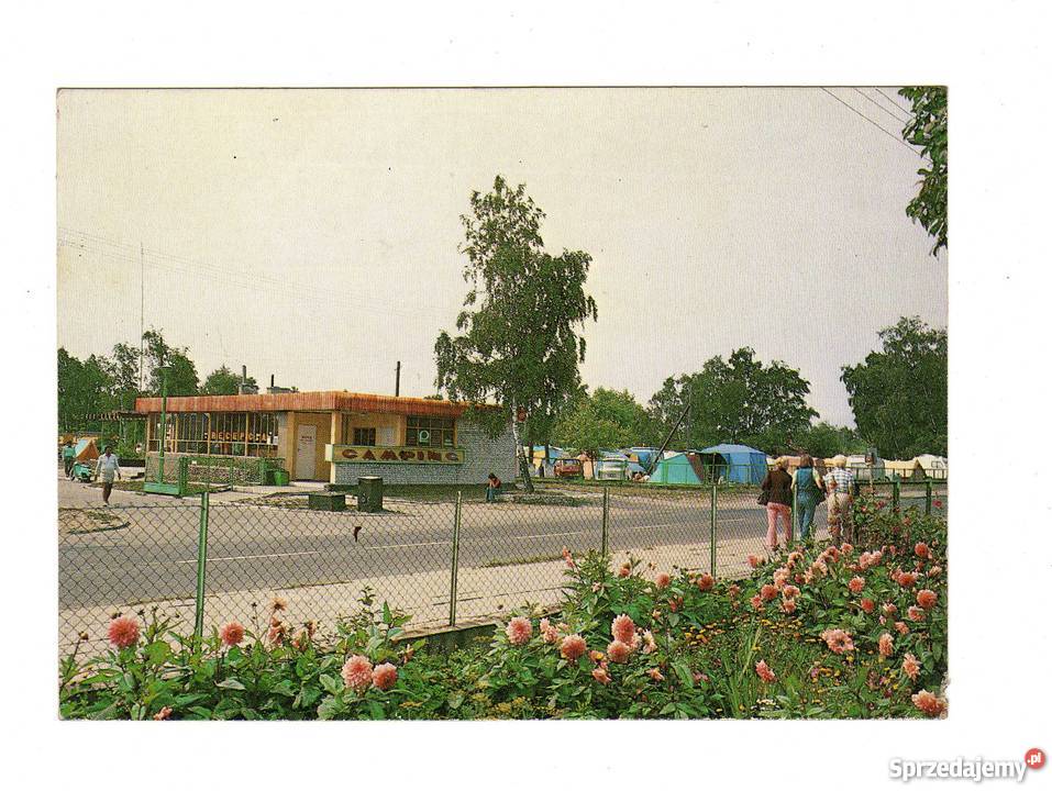 DZIWNÓW CAMPING POCZTÓWKA Krynki