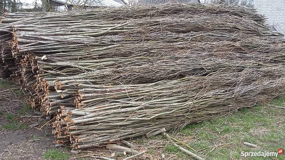 Faszyna Kiszka faszynowa paliki kołki z