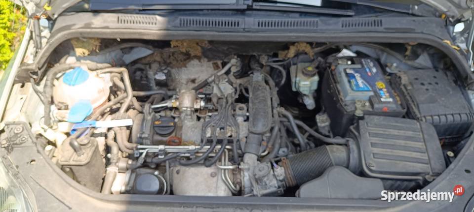 Sprzedam VW golf plus zachodniopomorskie Koszalin